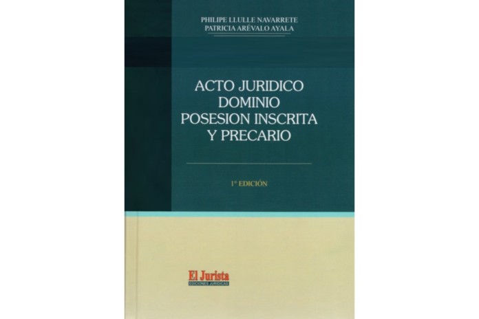 ACTO JURÍDICO, DOMINIO, POSESIÓN INSCRITA Y PRECARIO