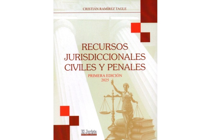 RECURSOS JURISDICCIONALES CIVILES Y PENALES