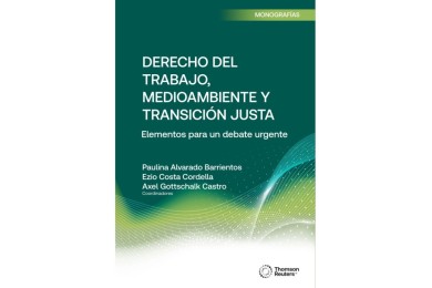 DERECHO DEL TRABAJO, MEDIOAMBIENTE Y TRANSICIÓN JUSTA - ELEMENTOS PARA UN DEBATE URGENTE