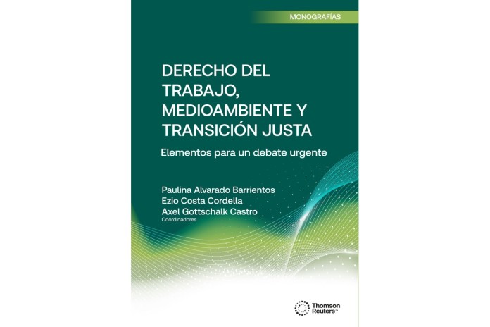 DERECHO DEL TRABAJO, MEDIOAMBIENTE Y TRANSICIÓN JUSTA - ELEMENTOS PARA UN DEBATE URGENTE