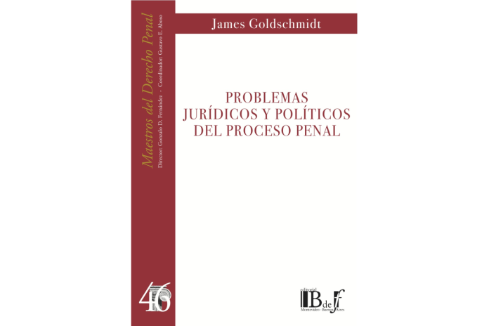 (46) PROBLEMAS JURÍDICOS Y POLÍTICOS DEL PROCESO PENAL