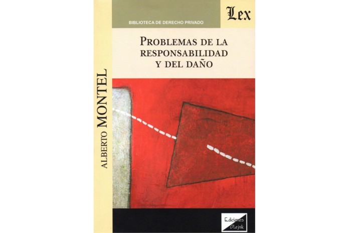 PROBLEMAS DE LA RESPONSABILIDAD Y DEL DAÑO
