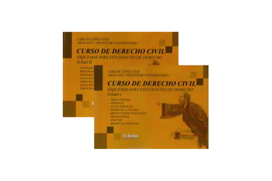 CURSO DE DERECHO CIVIL - ESQUEMAS PARA ESTUDIANTES DE DERECHO - 2 TOMOS
