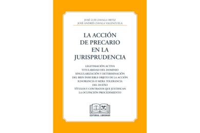 LA ACCIÓN DE PRECARIO EN LA JURISPRUDENCIA