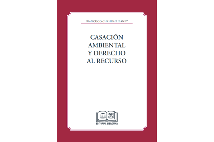 CASACIÓN AMBIENTAL Y DERECHO AL RECURSO