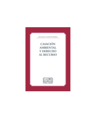 CASACIÓN AMBIENTAL Y DERECHO AL RECURSO
