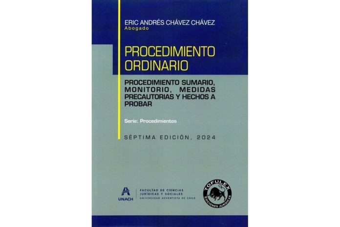 PROCEDIMIENTO ORDINARIO, SUMARIO Y MEDIDAS PRECAUTORIAS