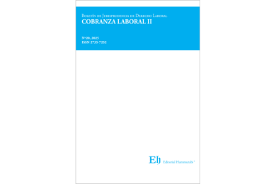 BOLETÍN DE JURISPRUDENCIA DE DERECHO LABORAL N°20 - COBRANZA LABORAL II