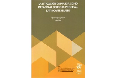 LA LITIGACIÓN COMPLEJA COMO DESAFÍO AL DERECHO PROCESAL LATINOAMERICANO