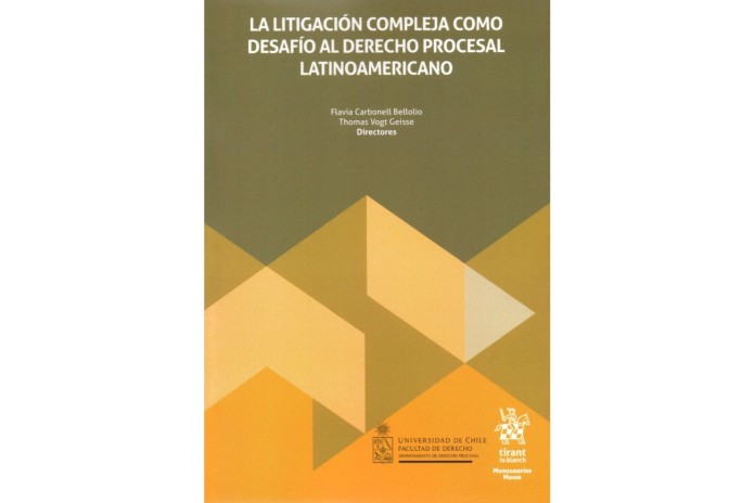 LA LITIGACIÓN COMPLEJA COMO DESAFÍO AL DERECHO PROCESAL LATINOAMERICANO