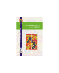 LA ACCIÓN EN EL SISTEMA DE LOS DERECHOS