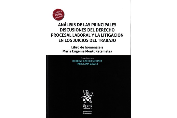 ANÁLISIS DE LAS PRINCIPALES DISCUSIONES DEL DERECHO PROCESAL LABORAL Y LA LITIGACIÓN EN LOS JUICIOS DEL TRABAJO