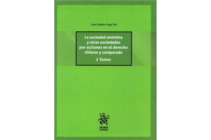 LA SOCIEDAD ANÓNIMA Y OTRAS SOCIEDADES POR ACCIONES EN EL DERECHO CHILENO Y COMPARADO - 2 TOMOS