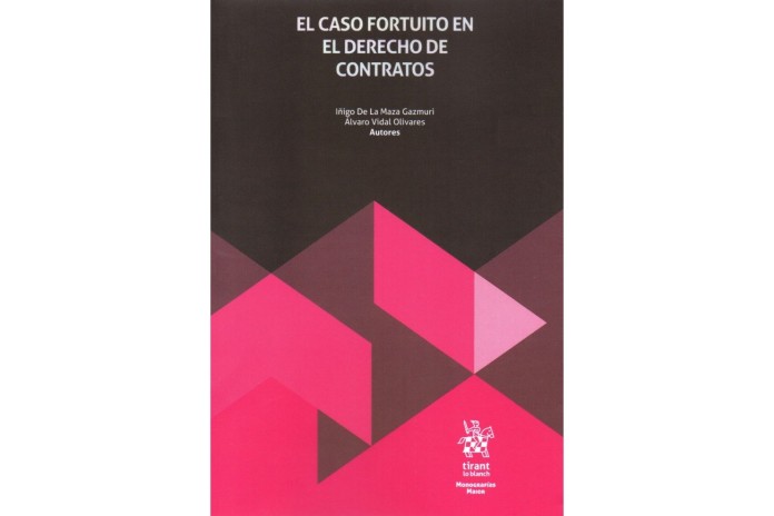 EL CASO FORTUITO EN EL DERECHO DE CONTRATOS
