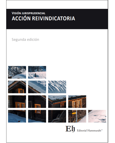 VISIÓN JURISPRUDENCIAL ACCIÓN REIVINDICATORIA (2ª Edición) VISIÓN JURISPRUDENCIAL ACCIÓN REIVINDICATORIA (2ª Edición)