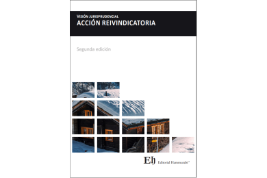 VISIÓN JURISPRUDENCIAL ACCIÓN REIVINDICATORIA (2ª Edición)