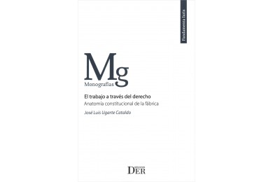 EL TRABAJO A TRAVÉS DEL DERECHO - ANATOMÍA CONSTITUCIONAL DE LA FÁBRICA