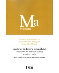 LECCIONES DE DERECHO PROCESAL CIVIL - JUICIO ORDINARIO DE MAYOR CUANTÍA (2ª Edición)