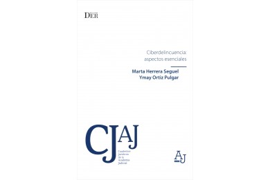 CIBERDELINCUENCIA: ASPECTOS ESENCIALES