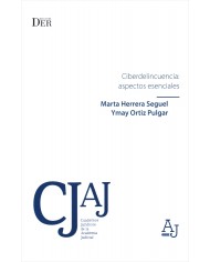 CIBERDELINCUENCIA: ASPECTOS ESENCIALES