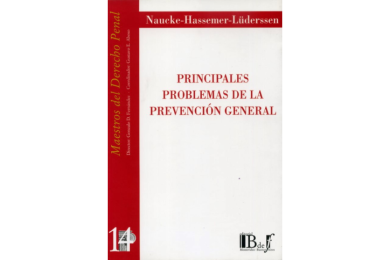 (14) PRINCIPALES PROBLEMAS DE LA PREVENCIÓN GENERAL