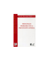 (14) PRINCIPALES PROBLEMAS DE LA PREVENCIÓN GENERAL