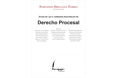 ACTAS DE LAS X JORNADAS NACIONALES DE DERECHO PROCESAL