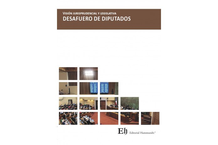VISIÓN JURISPRUDENCIAL DESAFUERO DE DIPUTADOS