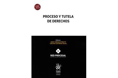 PROCESO Y TUTELA DE DERECHOS