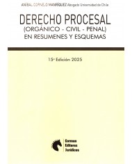 DERECHO PROCESAL (ORGÁNICO-CIVIL-PENAL) EN RESÚMENES Y ESQUEMAS
