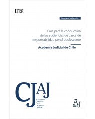 GUÍA PARA LA CONDUCCIÓN DE LAS AUDIENCIAS DE CASOS DE RESPONSABILIDAD PENAL ADOLESCENTE