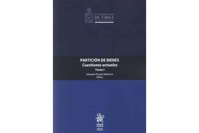 PARTICIÓN DE BIENES - CUESTIONES ACTUALES - TOMO I