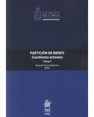 PARTICIÓN DE BIENES - CUESTIONES ACTUALES - TOMO I
