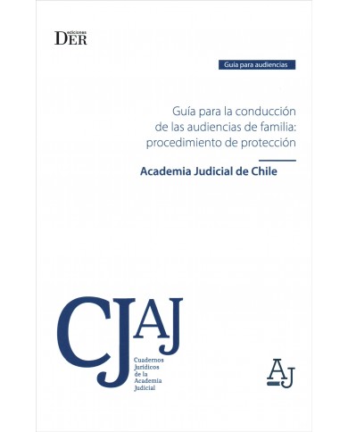GUÍA PARA LA CONDUCCIÓN DE LAS AUDIENCIAS DE FAMILIA: PROCEDIMIENTO DE PROTECCIÓN