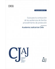 GUÍA PARA LA CONDUCCIÓN DE LAS AUDIENCIAS DE FAMILIA: PROCEDIMIENTO DE PROTECCIÓN