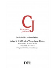 LA LEY N° 21.675 SOBRE VIOLENCIA DE GÉNERO - APLICACIÓN E IMPACTO EN LOS TRIBUNALES DE FAMILIA
