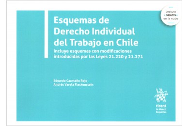 ESQUEMAS DE DERECHO INDIVIDUAL DEL TRABAJO EN CHILE (1ª Edición)
