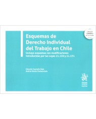ESQUEMAS DE DERECHO INDIVIDUAL DEL TRABAJO EN CHILE (1ª Edición)