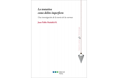 LA TENTATIVA COMO DELITO IMPERFECTO - UNA INVESTIGACIÓN DE LA TEORÍA DE LAS NORMAS