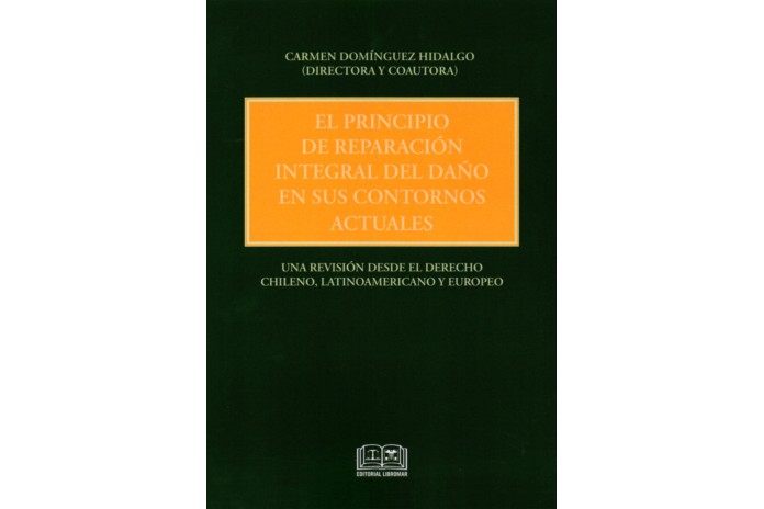 EL PRINCIPIO DE REPARACIÓN INTEGRAL DEL DAÑO EN SUS CONTORNOS ACTUALES