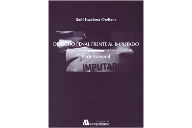 DERECHO PENAL FRENTE AL IMPUTADO - PARTE GENERAL
