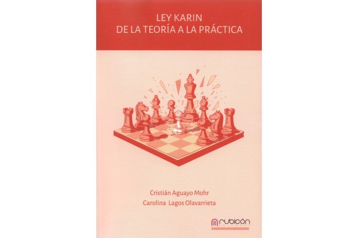 LEY KARIN - DE LA TEORÍA A LA PRÁCTICA