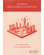 LEY KARIN - DE LA TEORÍA A LA PRÁCTICA