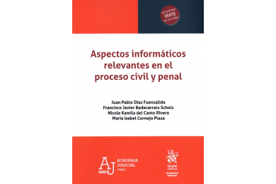 ASPECTOS INFORMÁTICOS RELEVANTES EN EL PROCESO CIVIL Y PENAL
