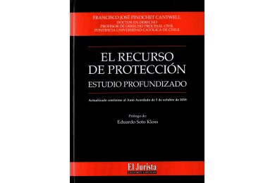 EL RECURSO DE PROTECCION - ESTUDIO PROFUNDIZADO