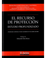 EL RECURSO DE PROTECCION - ESTUDIO PROFUNDIZADO