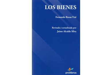 LOS BIENES