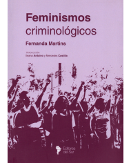 FEMINISMOS CRIMINOLÓGICOS