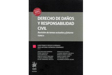 DERECHO DE DAÑOS Y RESPONSABILIDAD CIVIL - REVISIÓN DE TEMAS ACTUALES Y FUTUROS - TOMO II