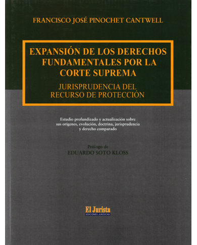 EXPANSIÓN DE LOS DERECHOS FUNDAMENTALES POR LA CORTE SUPREMA - JURISPRUDENCIA DEL RECURSO DE PROTECCIÓN